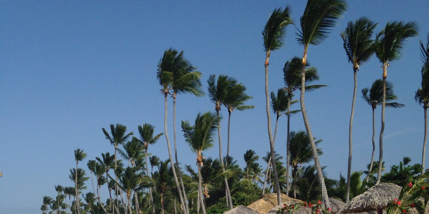 lelllag's profile banner image