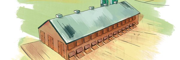 BowlerEggs Profile Banner