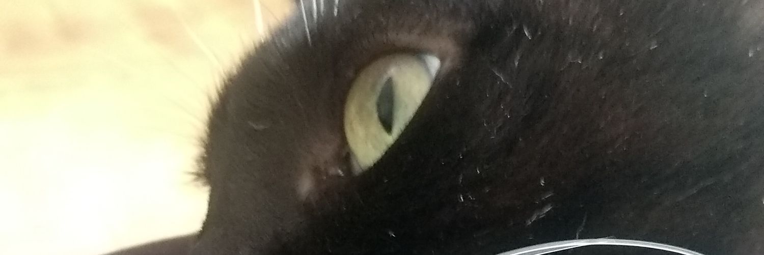 fekmaciel's profile banner image