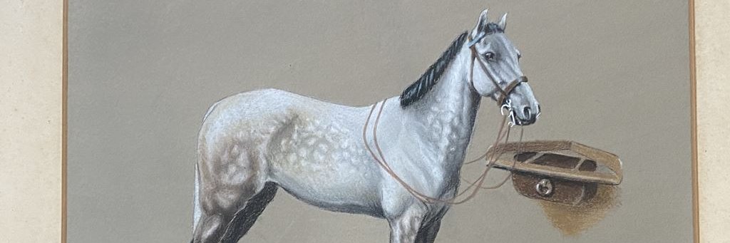 tsauction's profile banner image
