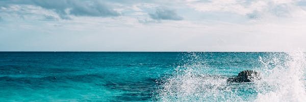 Rosaliegold23's profile banner image