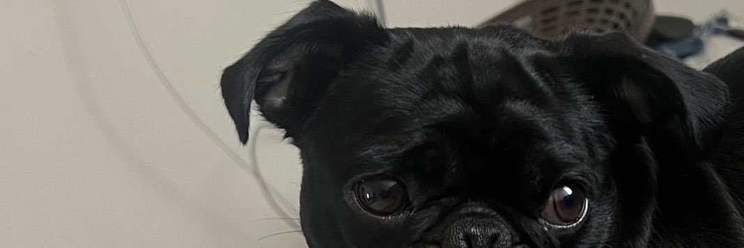 maitemagdaniel's profile banner image