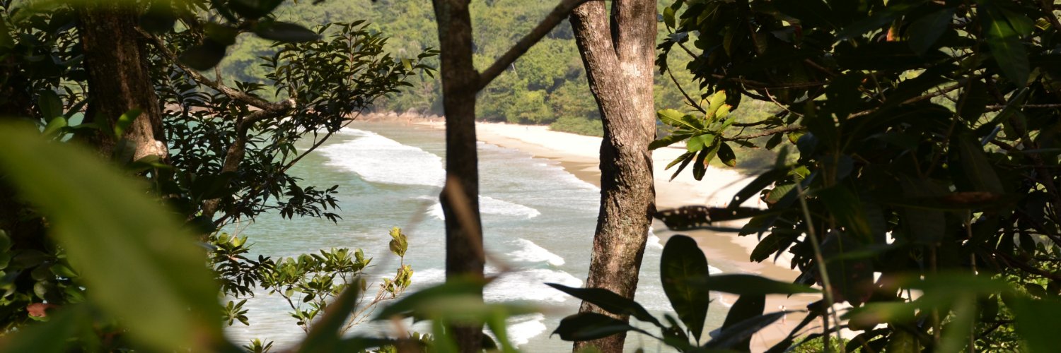 sambacissecom's profile banner image