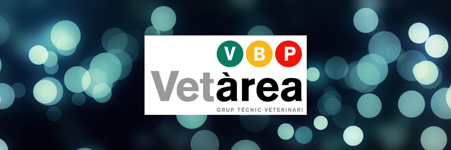 VetareaGtv's profile banner image