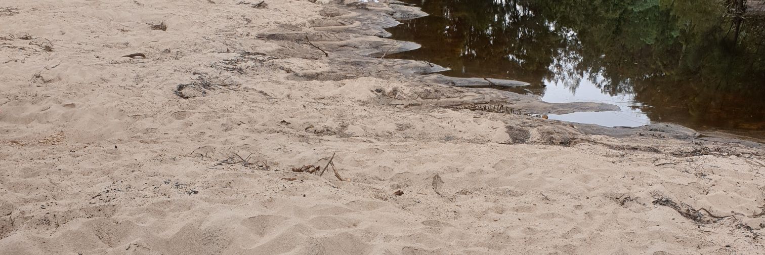 NoEchoChambers's profile banner image