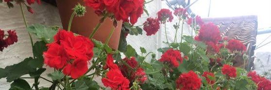 jma9996's profile banner image