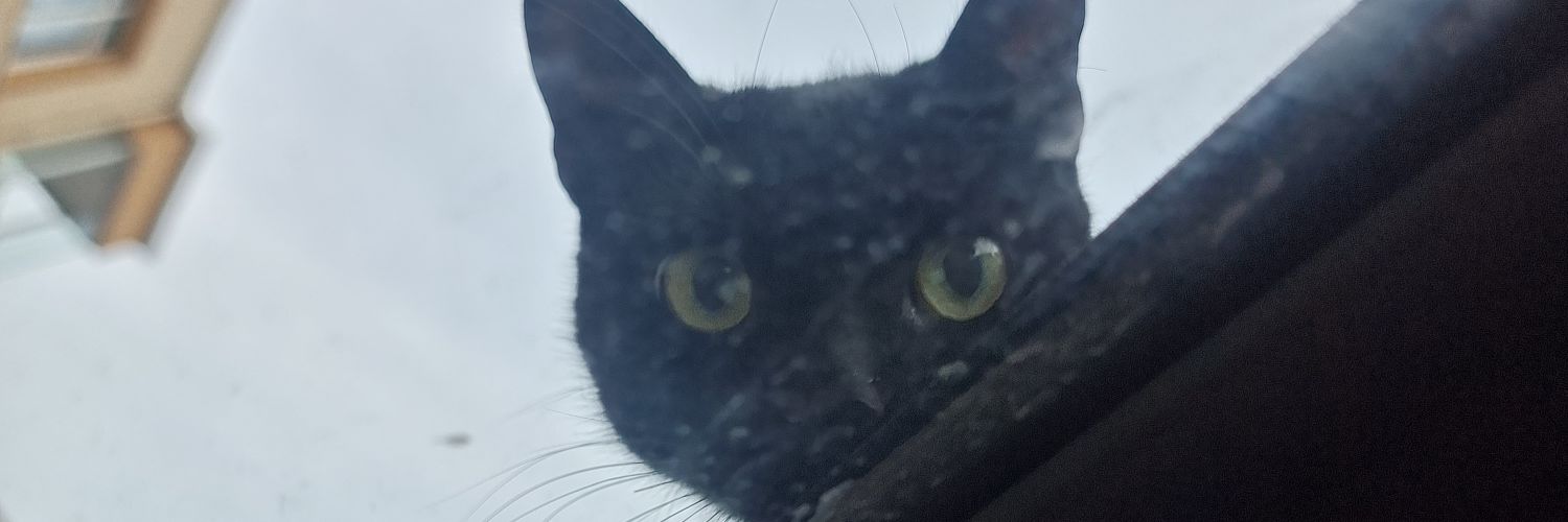 pnkenger's profile banner image