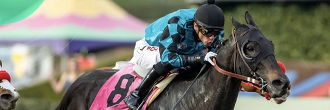 Roimes Chirinos banner