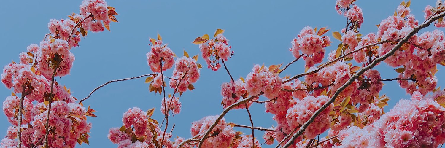 ConnieeSpain's profile banner image