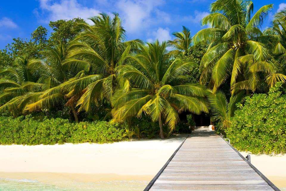 Natasha Garraway-Charles 🇹🇹 🇬🇧 she/her banner