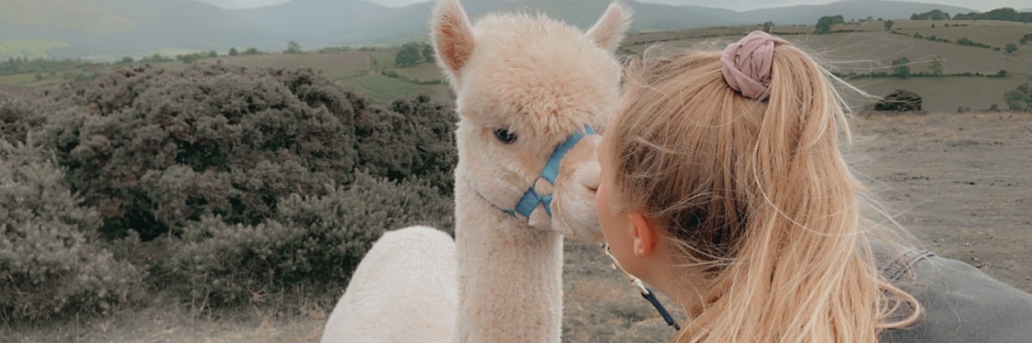 leannewaldron_'s profile banner image