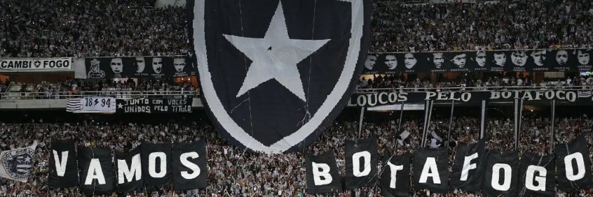 pedrozingoni's profile banner image