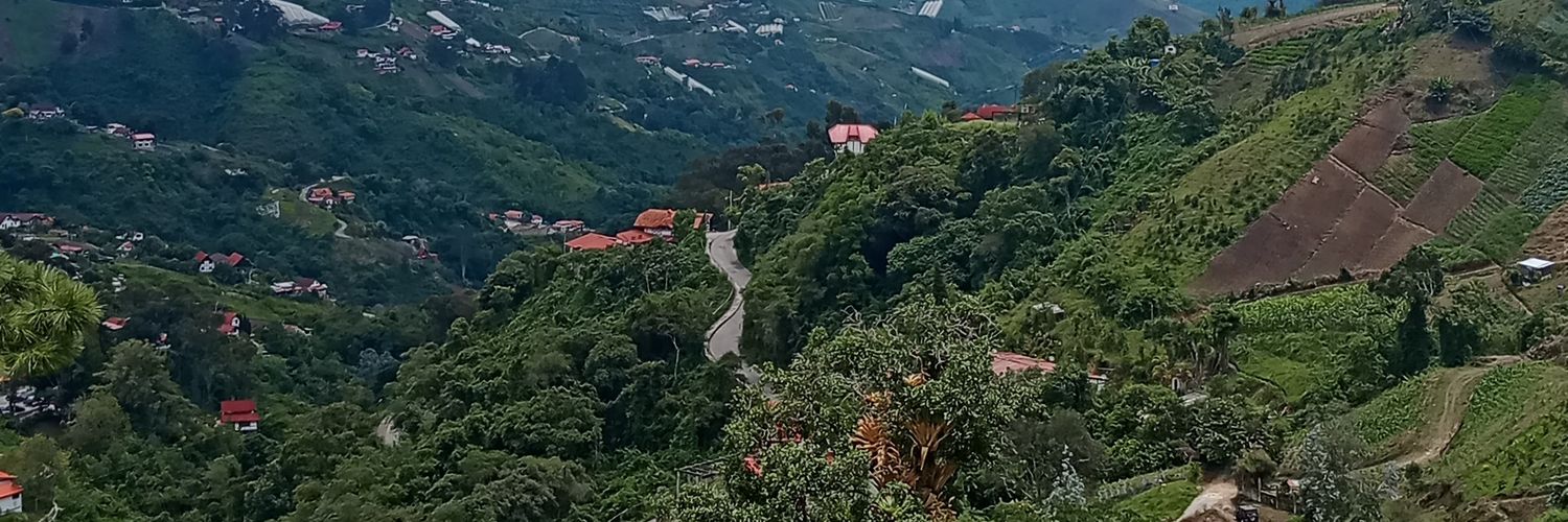 torrespeluche's profile banner image