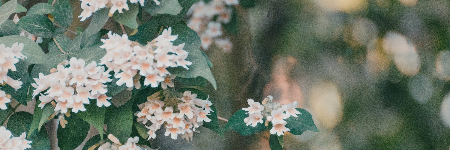 PeriwinkleLemon's profile banner image