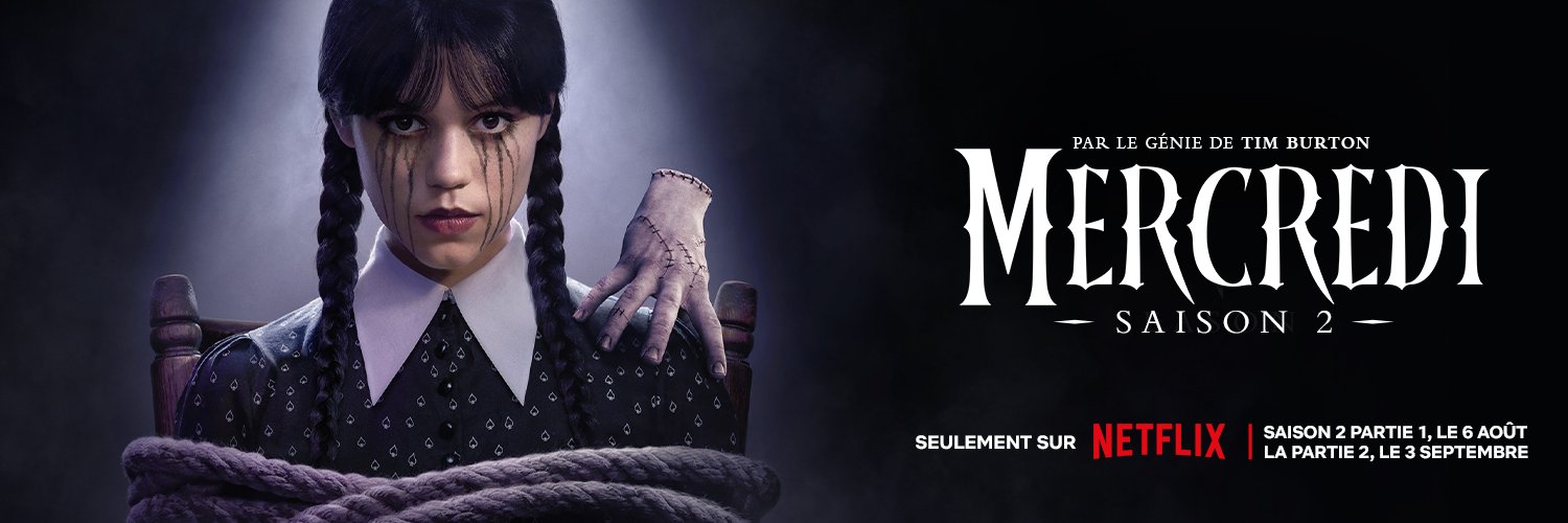 Netflix France's banner