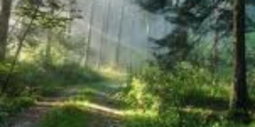 kscvt142's profile banner image
