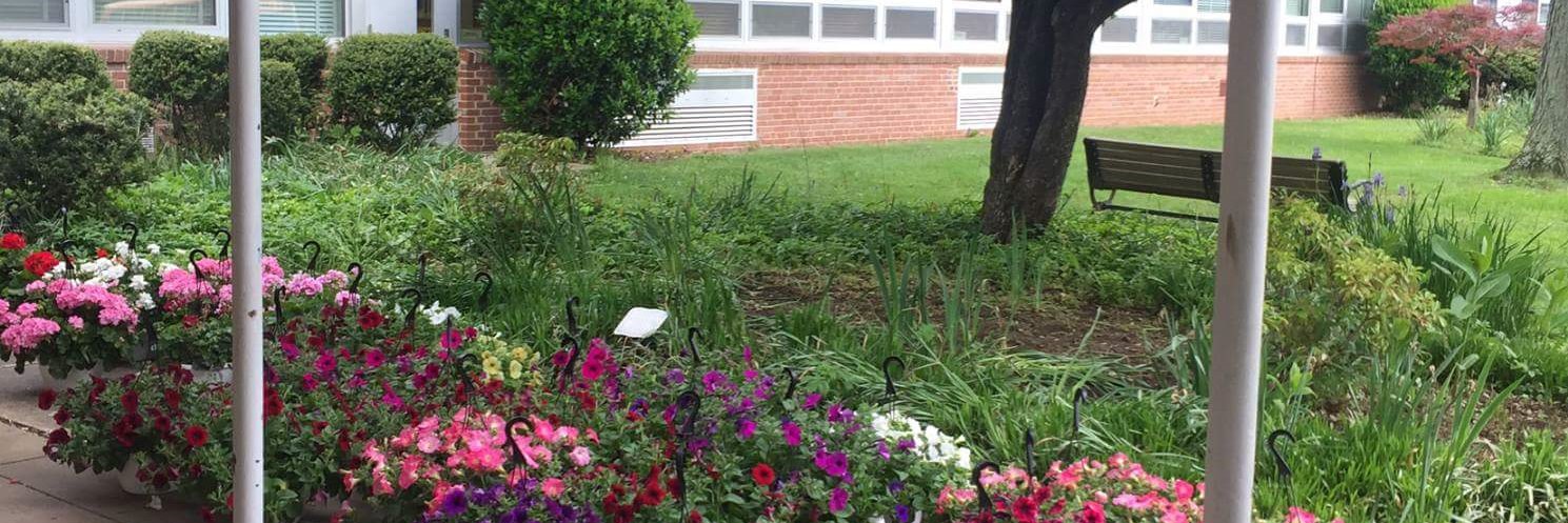 Dr. Hope Baier banner