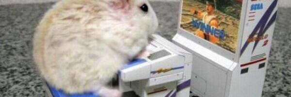 たな〜か banner
