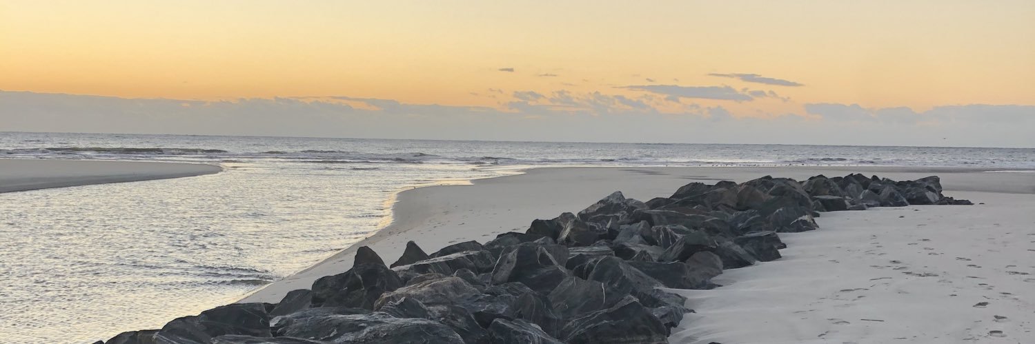 Carey Wallace banner