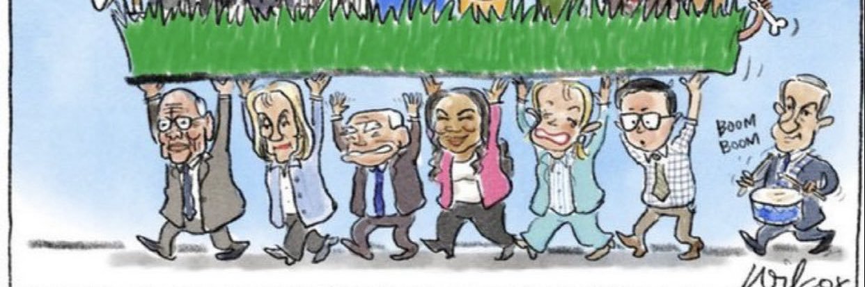 Daniel Paxton banner