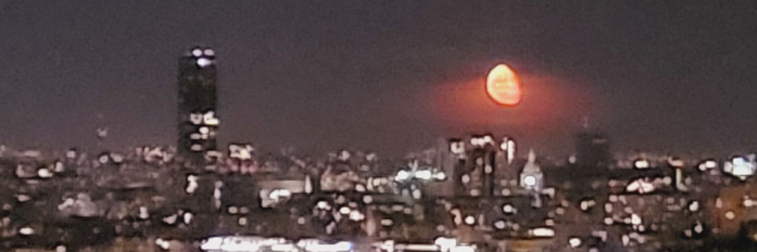 hall_bache's profile banner image
