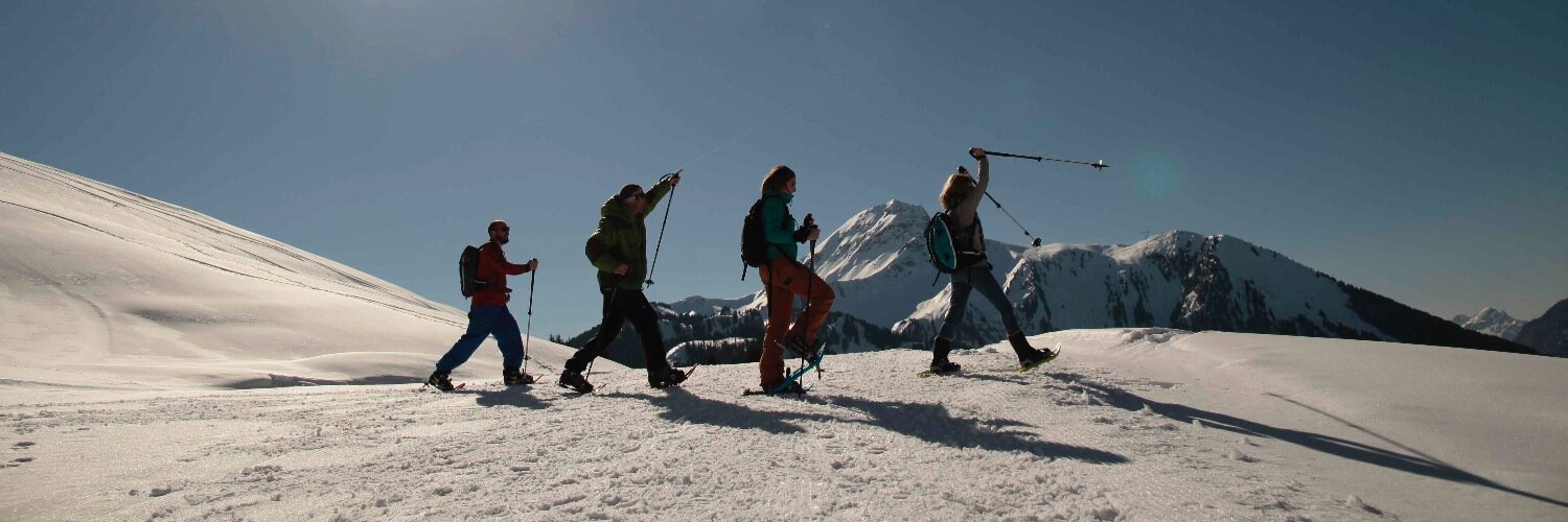 Wintertrail's profile banner image