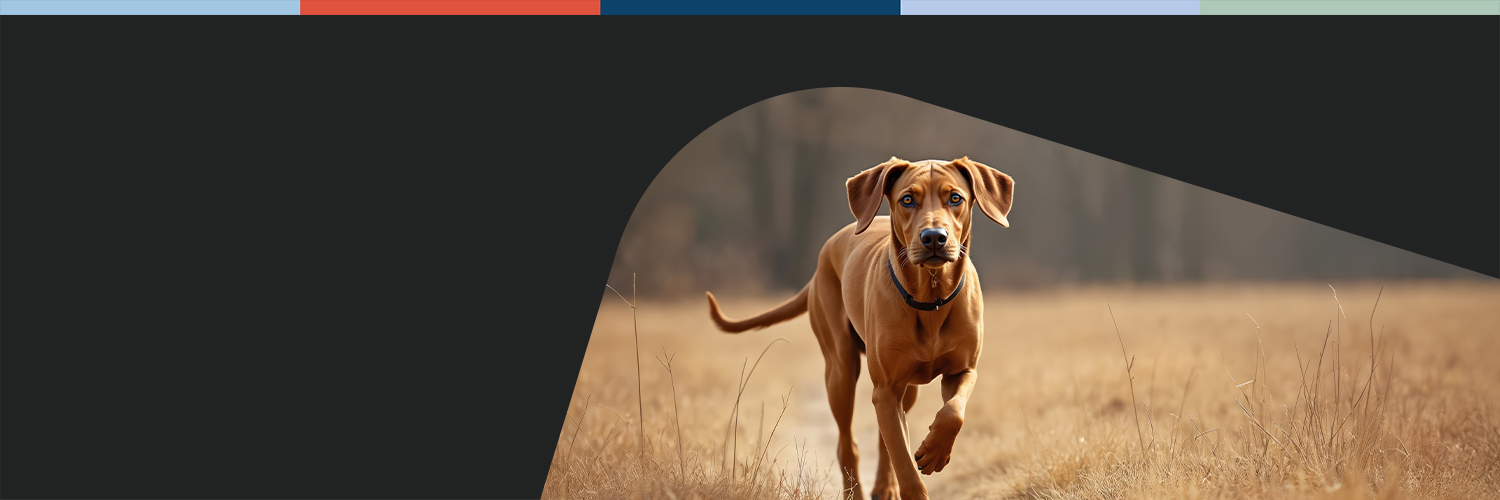 Movora UK banner