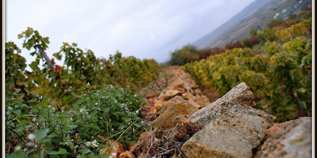 WineShack_CE's profile banner image