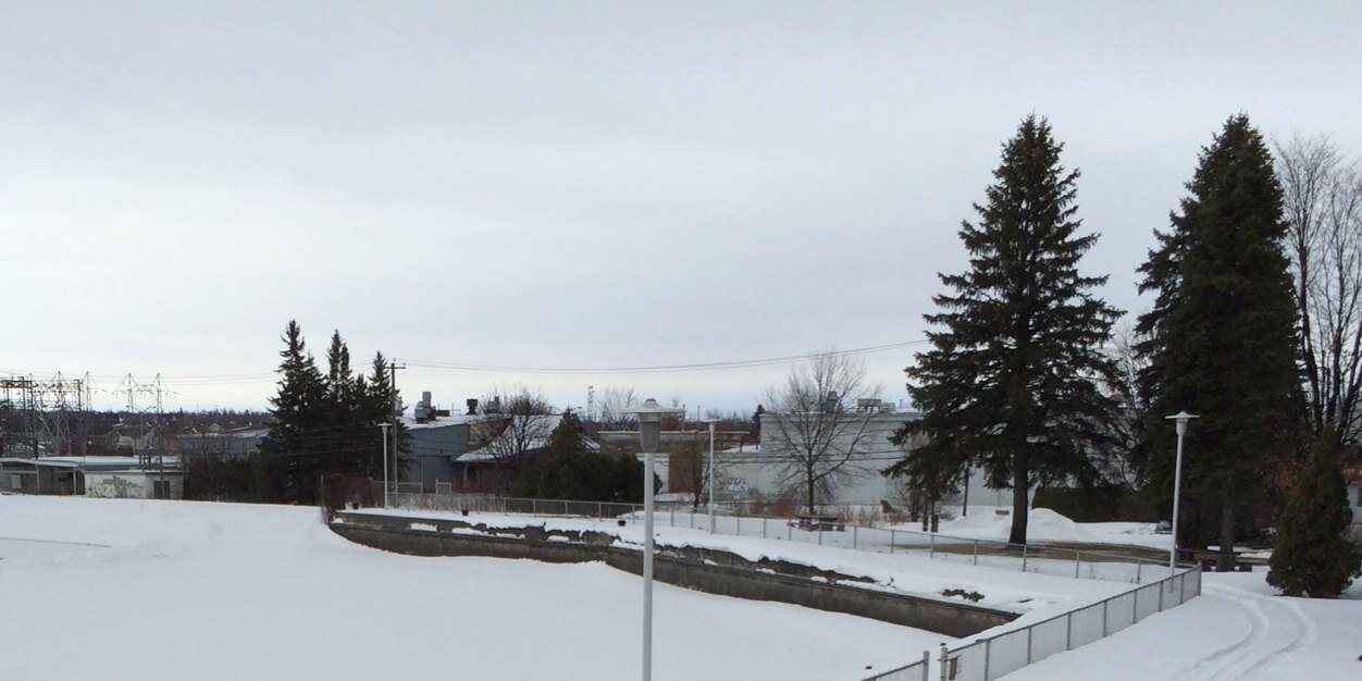 Rodolfo Rojas banner