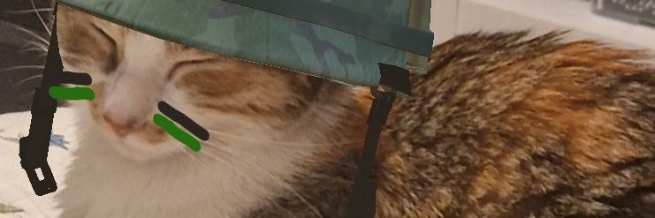 DruVlogs's profile banner image