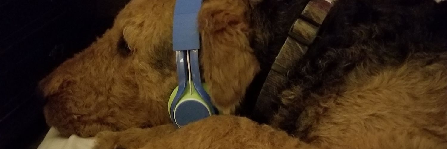 valkellom's profile banner image