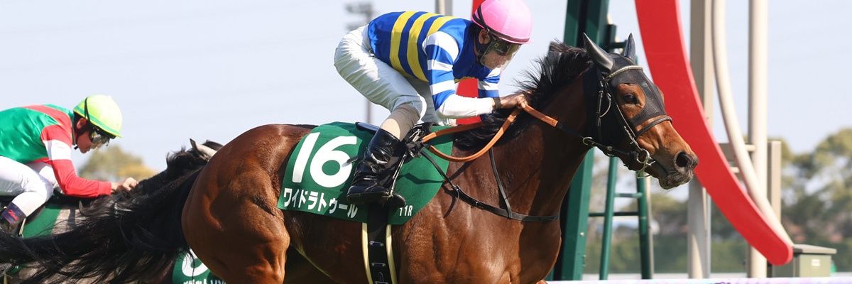 みらちゃん🏇🏇🏇 banner