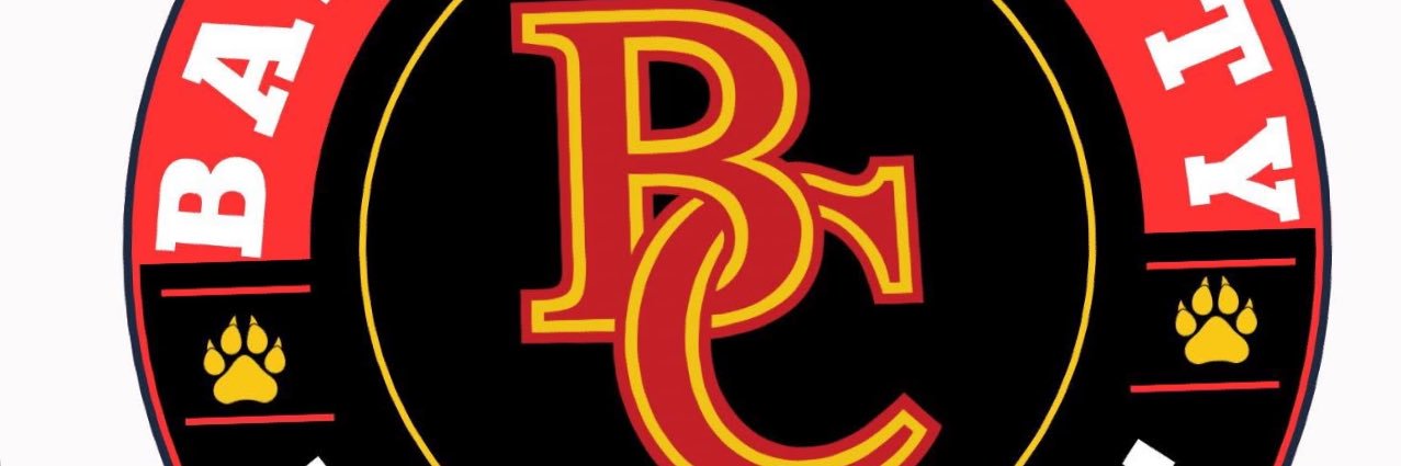 Coach Ruise banner