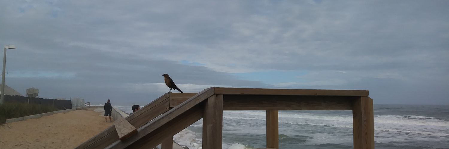 victorman67's profile banner image