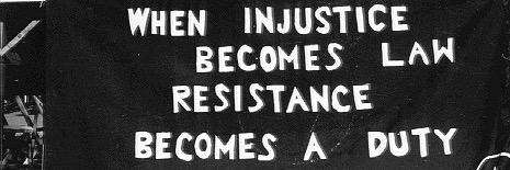 Cris (they/them) banner