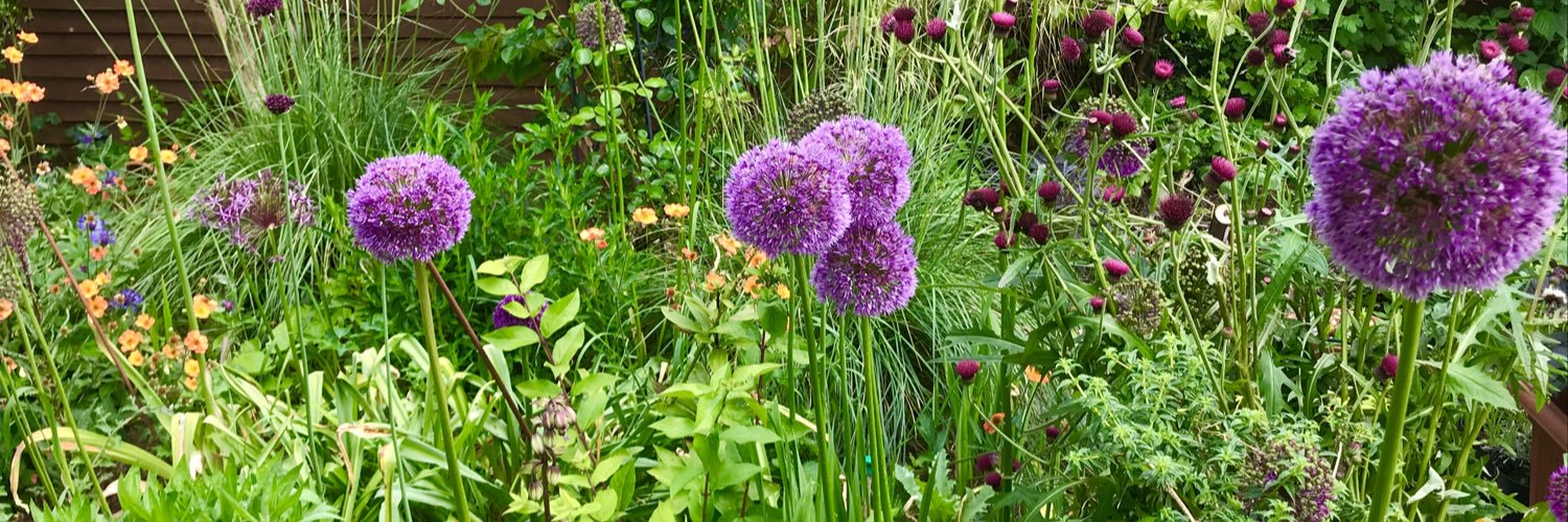 David Maxwell banner