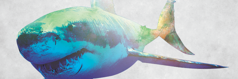 spectronium's profile banner image