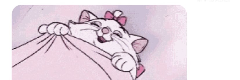 nat_lyman's profile banner image