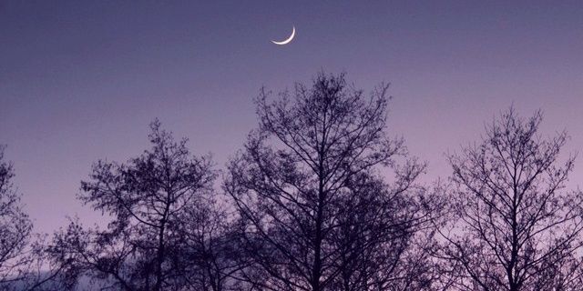 MariaJBocch's profile banner image