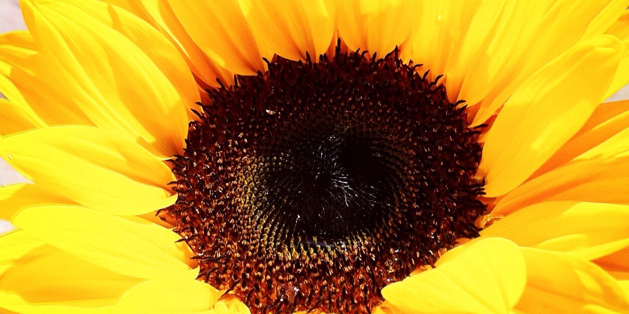 AlunPerry_SMRT's profile banner image