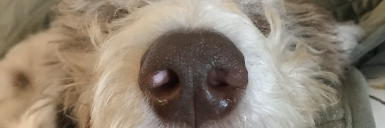 autsmith12's profile banner image
