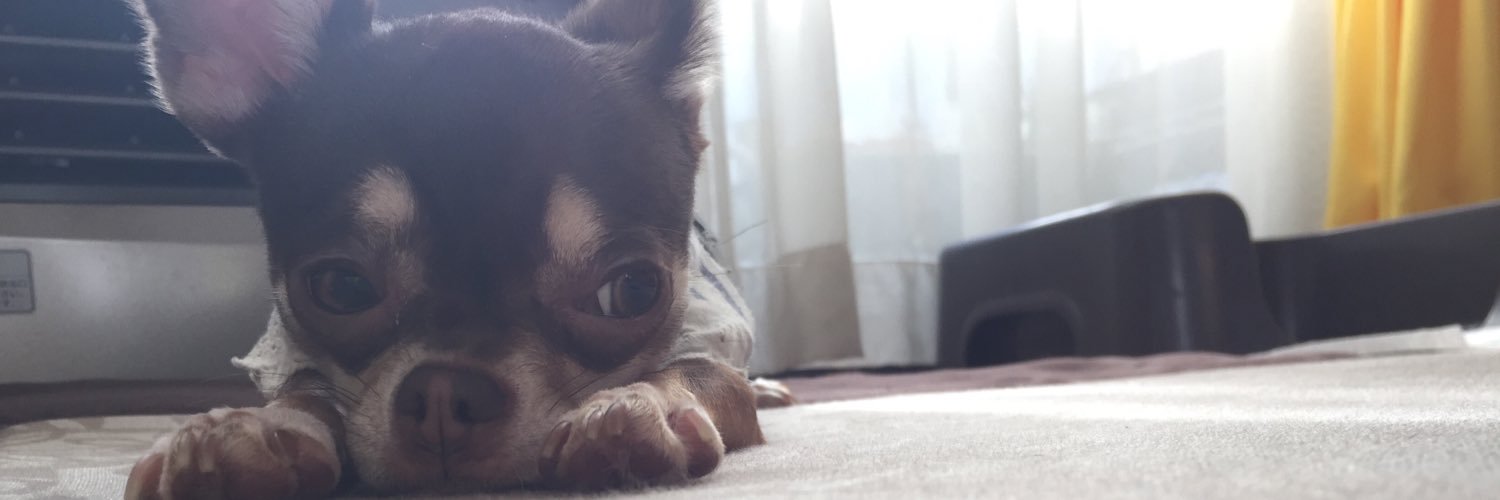Miu_dog's profile banner image