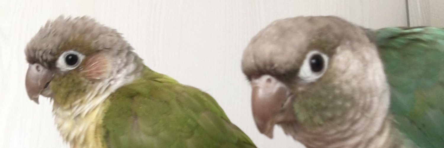 satoooo___'s profile banner image