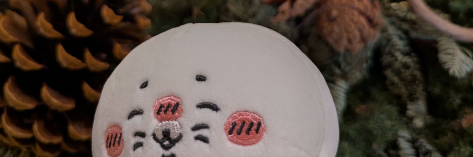 こあら🐨 banner