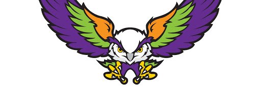 SeminoleVirtual's profile banner image