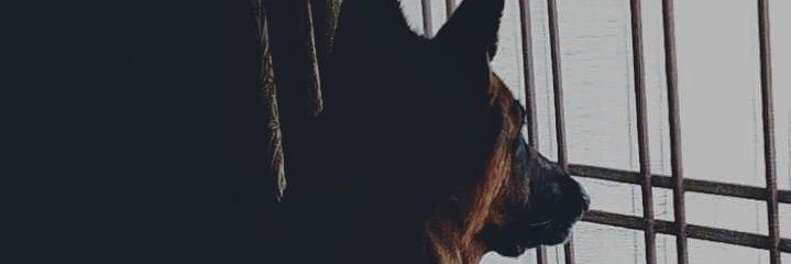 skr134's profile banner image