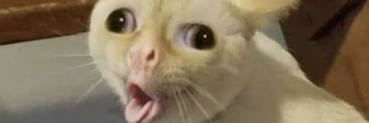 gtfoka's profile banner image