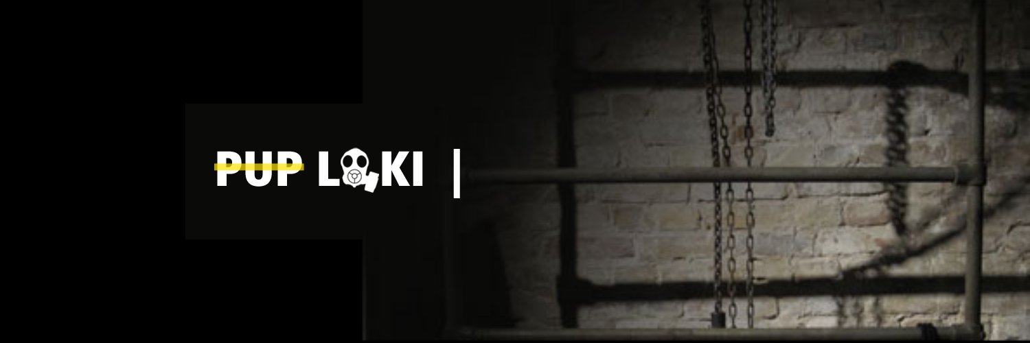 puploki's profile banner image