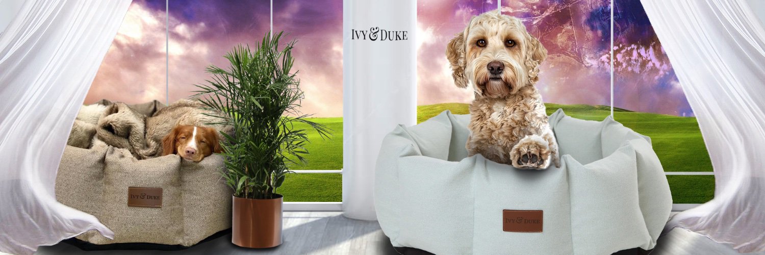 Ivy & Duke banner