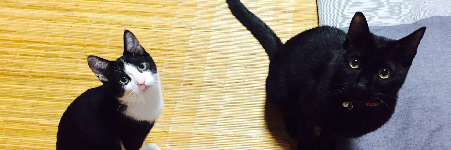 cowkiri's profile banner image